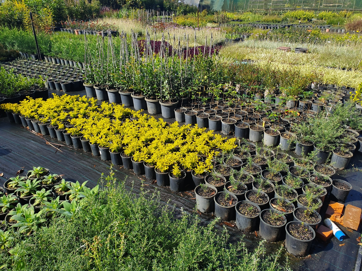 Garden Bags Delivered Australia Wide